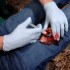 Аппликатор гемостатический с гранулами Rhino Rescue в Домодедово хитозановый